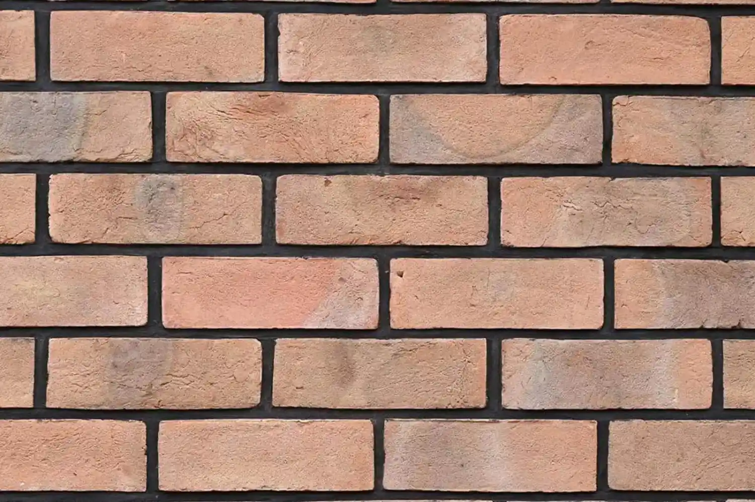 Himalayan Peach