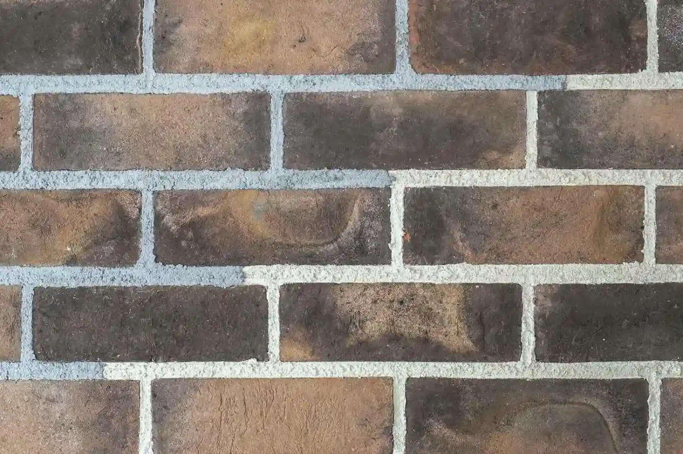 Tortoise Taupe
